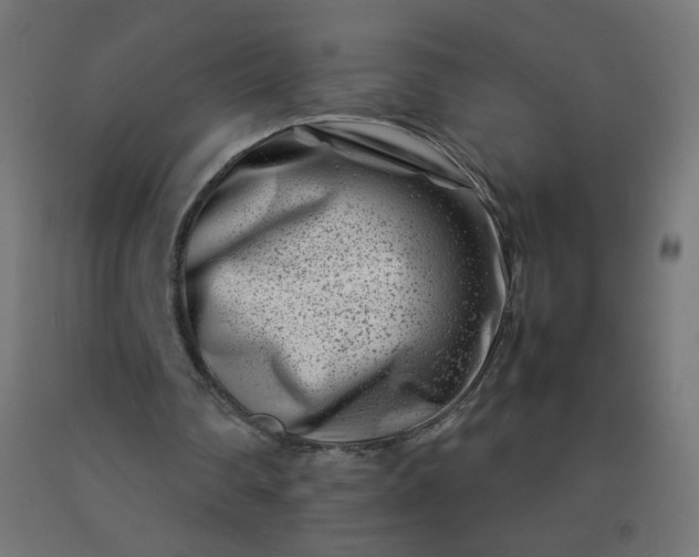 X0000092270290200709281230