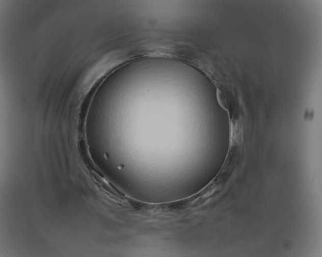 X0000092270291200709281230