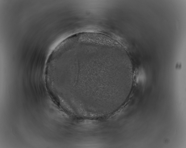 X0000092270292200709281230
