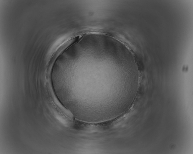 X0000092270293200709281230