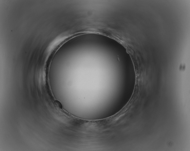 X0000092270294200709281230