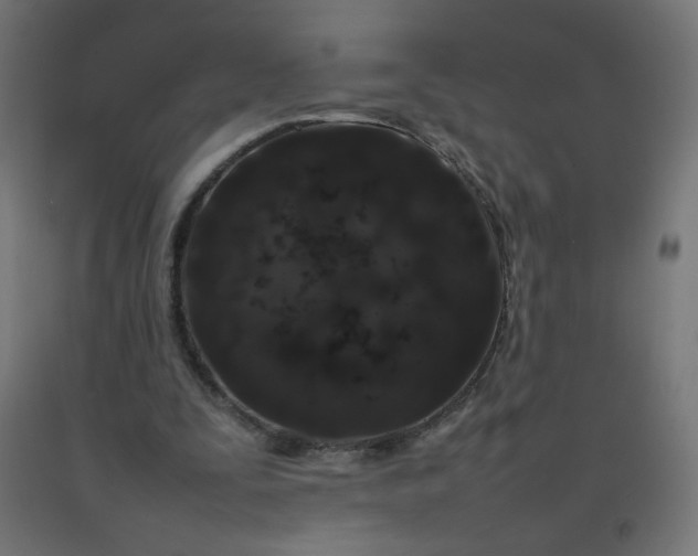 X0000092270295200709281230