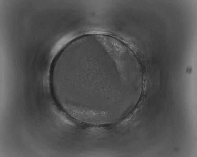 X0000092270296200709281230