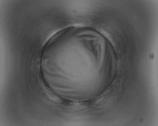 X0000092270297200709281230