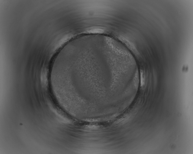 X0000092270300200709281230