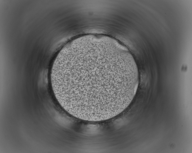 X0000092270302200709281230