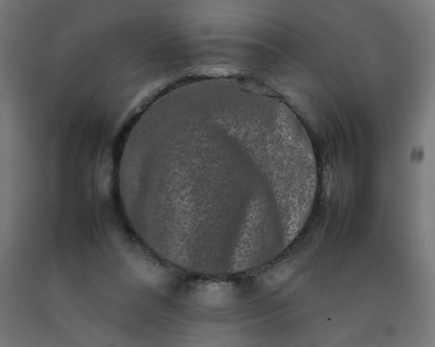 X0000092270304200709281229
