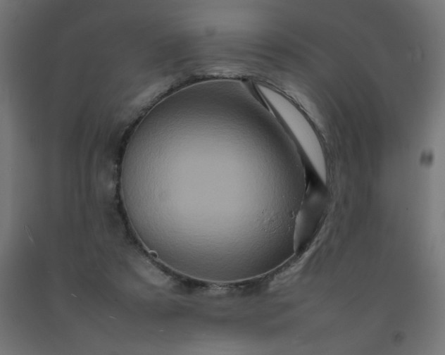 X0000092270305200709281229
