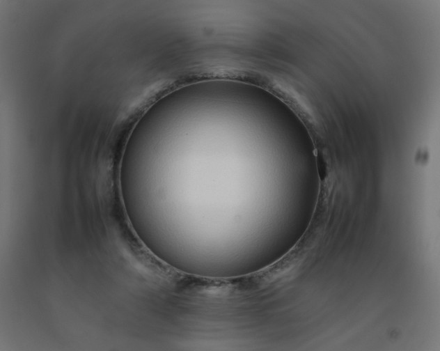X0000092270306200709281229