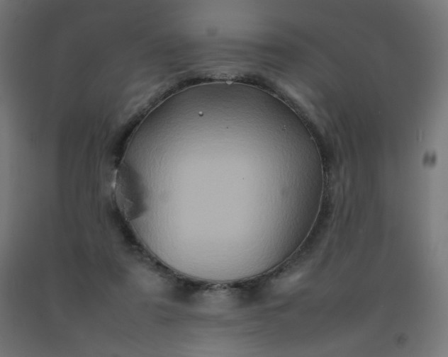 X0000092270307200709281229