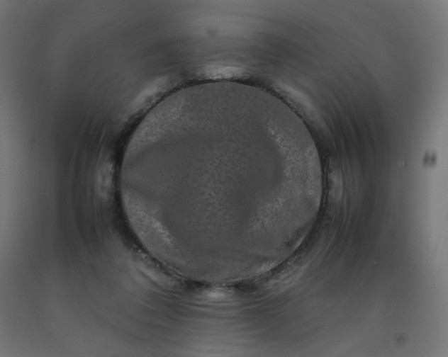 X0000092270308200709281229