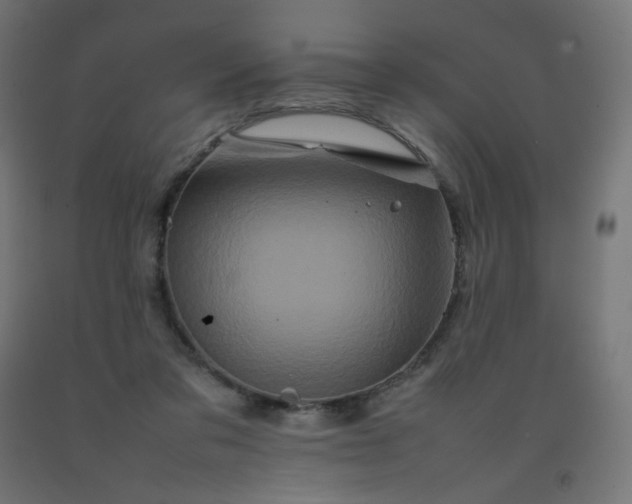 X0000092270309200709281229