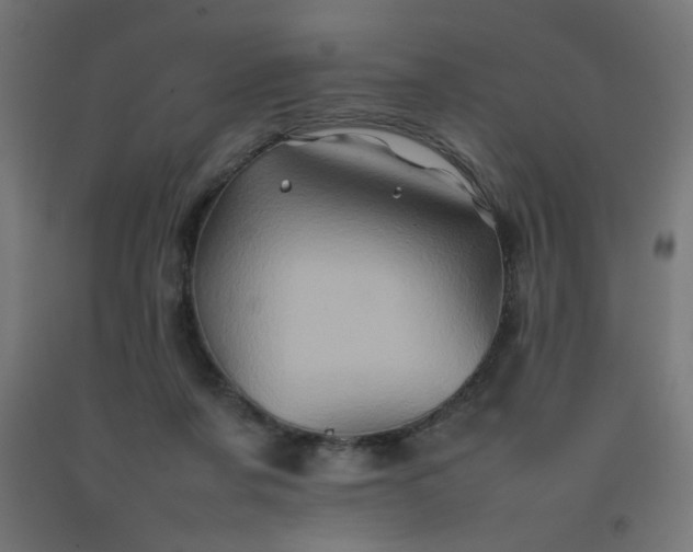 X0000092270311200709281229