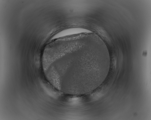 X0000092270312200709281229
