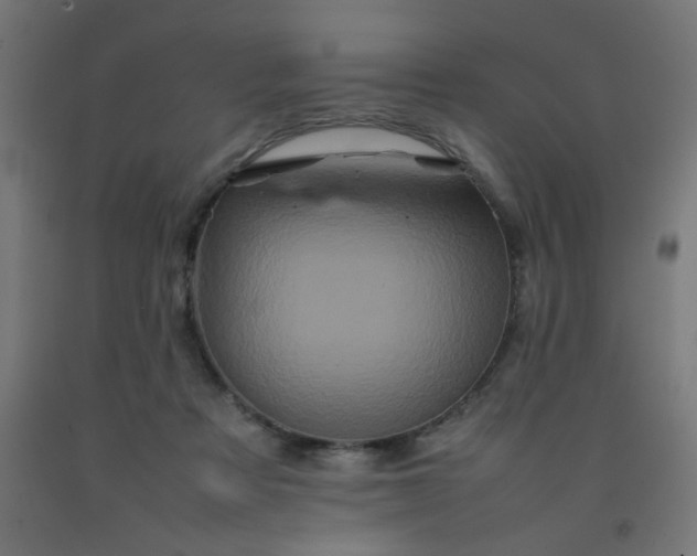 X0000092270313200709281229