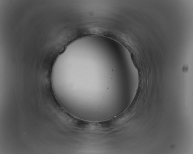 X0000092270317200709281229
