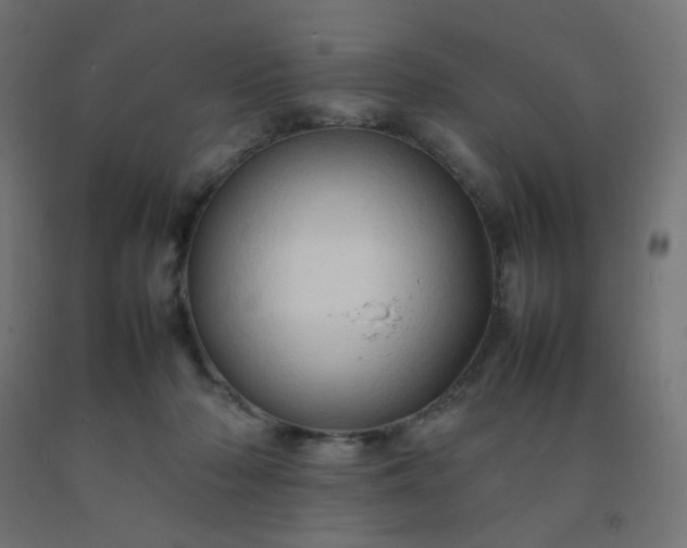 X0000092270318200709281229