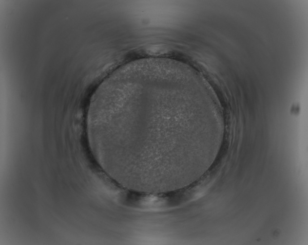 X0000092270319200709281229