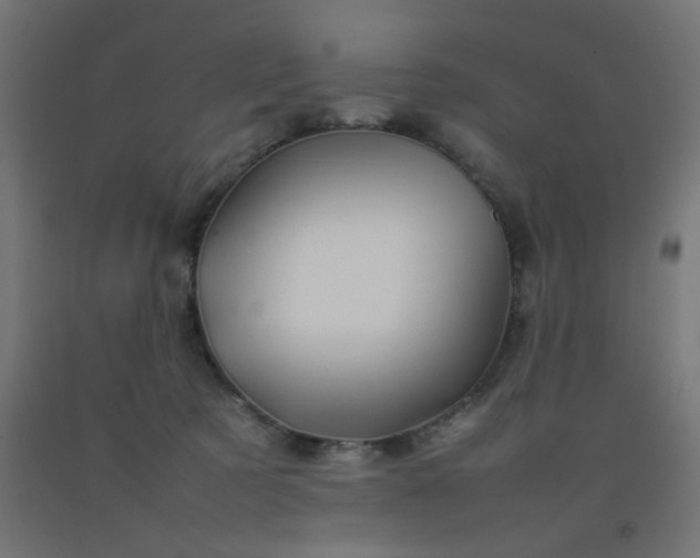 X0000092270321200709281229
