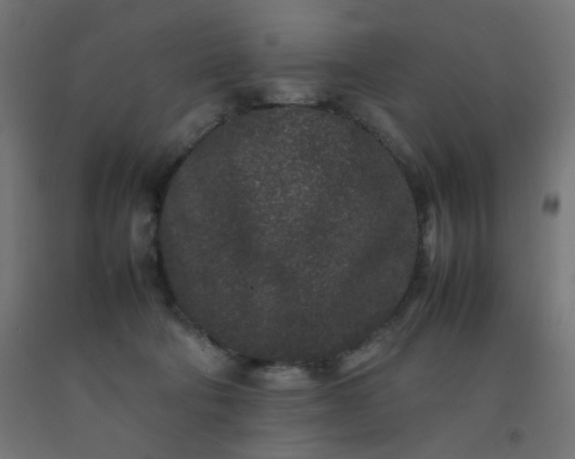 X0000092270322200709281229