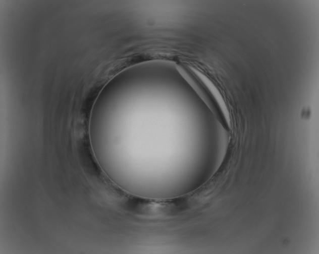 X0000092270323200709281229