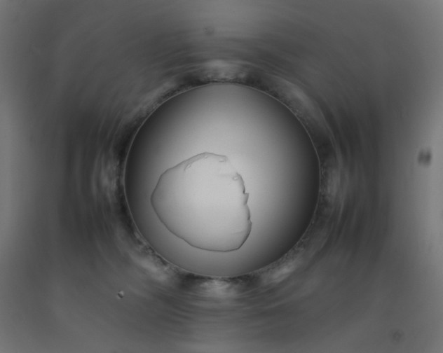 X0000092270326200709281229