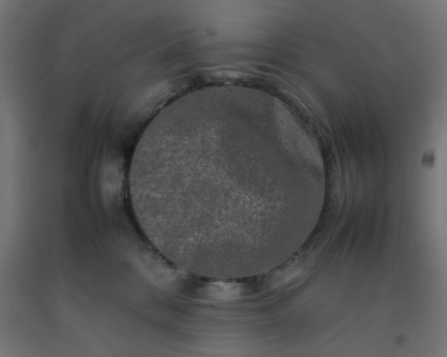 X0000092270328200709281229