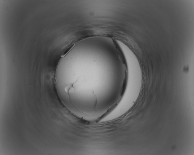 X0000092270329200709281229