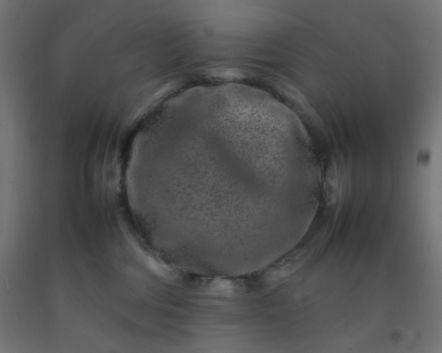 X0000092270330200709281229