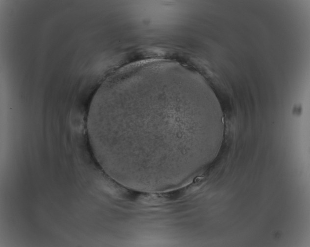X0000092270331200709281229