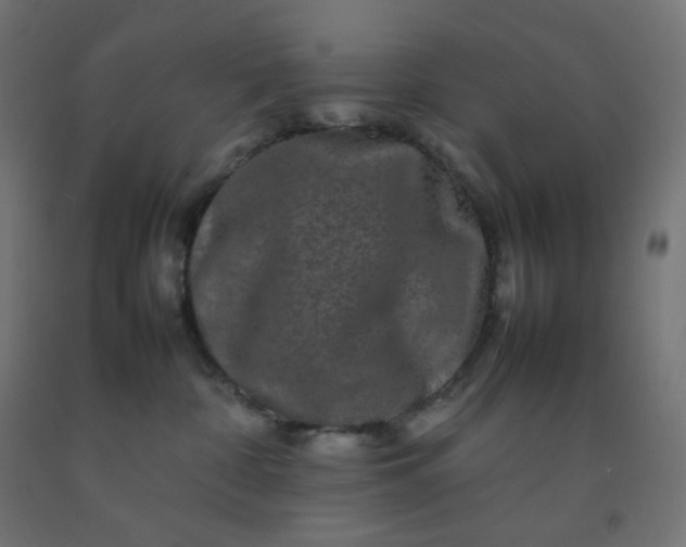 X0000092270332200709281229