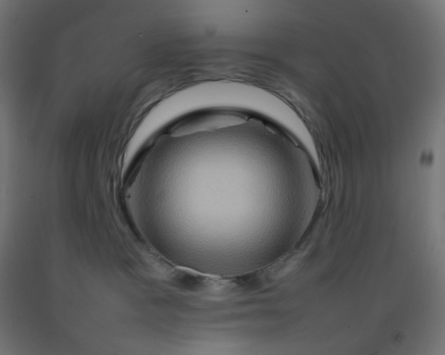 X0000092270333200709281229