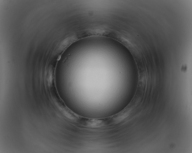 X0000092270334200709281229