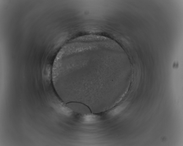 X0000092270336200709281229