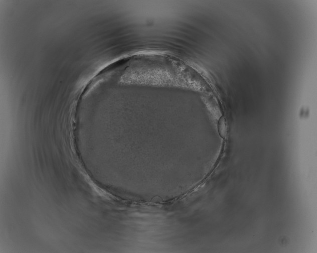 X0000092270337200709281228