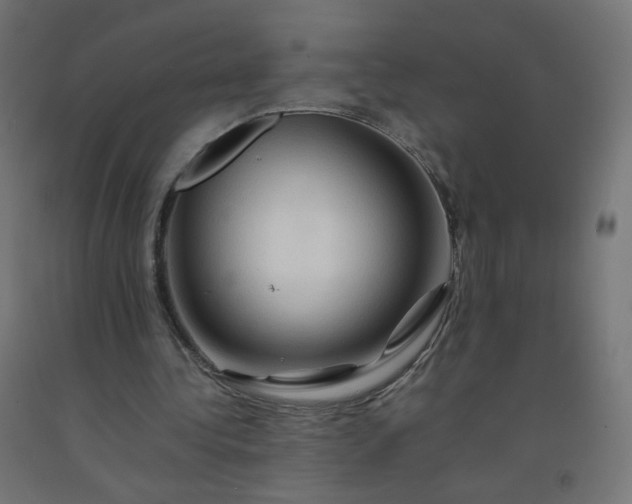 X0000092270340200709281229
