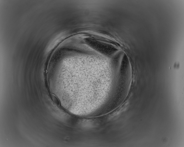 X0000092270341200709281229