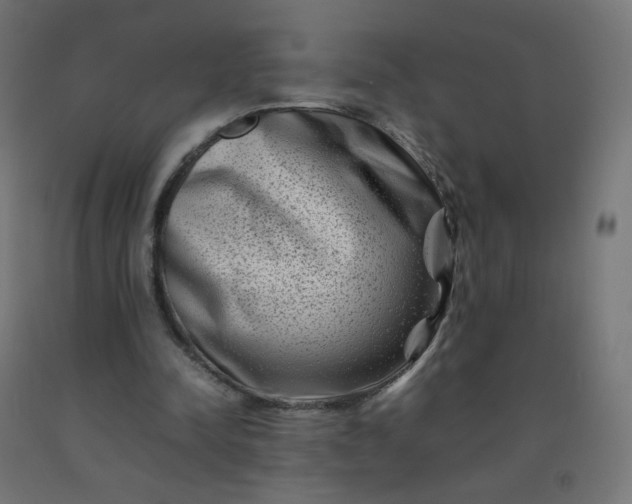 X0000092270342200709281229