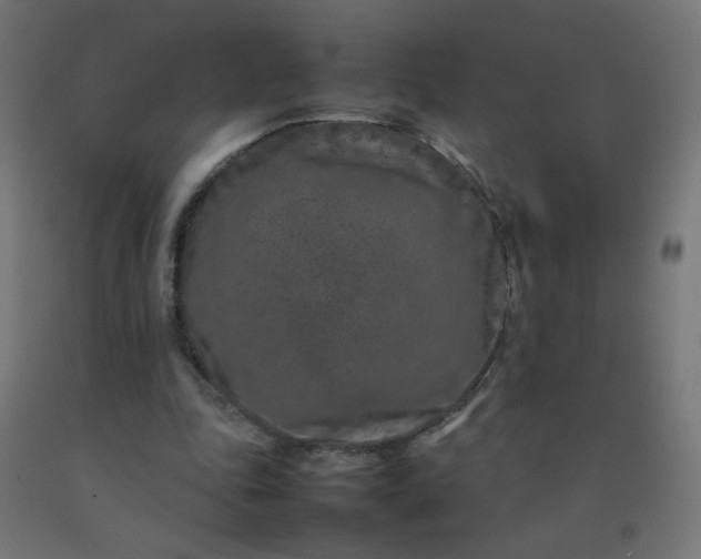 X0000092270343200709281229