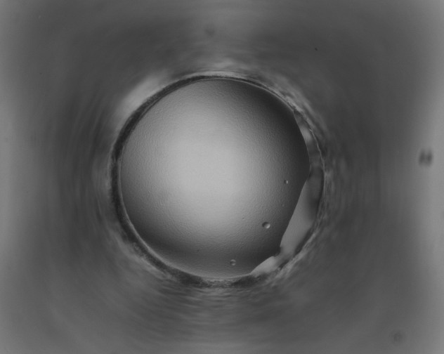 X0000092270344200709281229