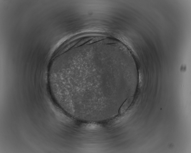 X0000092270348200709281229