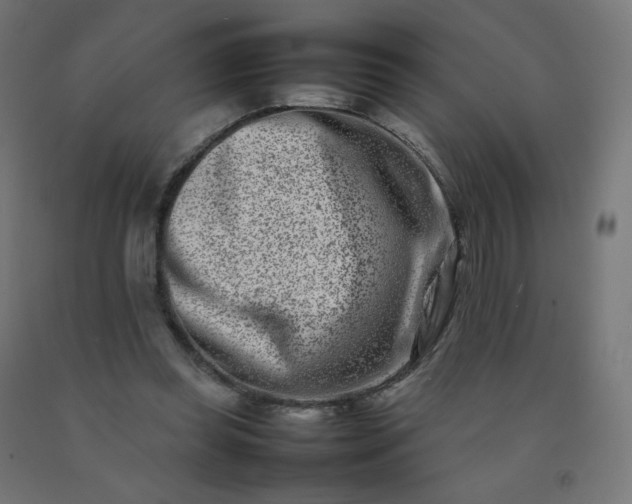 X0000092270349200709281229