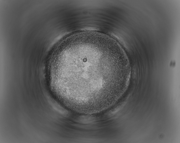 X0000092270351200709281229