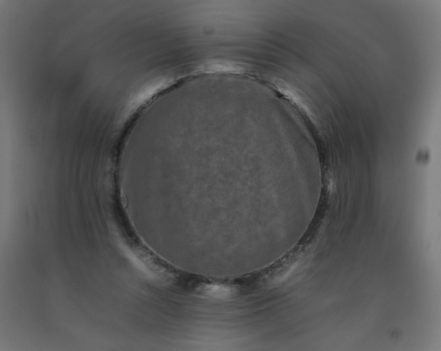 X0000092270352200709281229