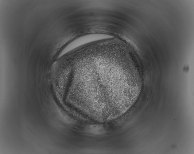 X0000092270353200709281229