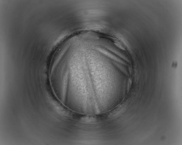 X0000092270354200709281229