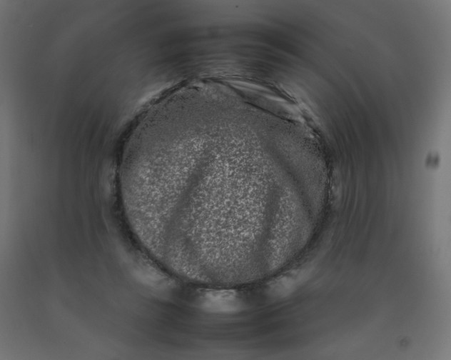 X0000092270355200709281229