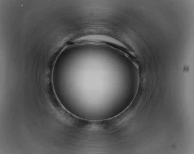 X0000092270356200709281229