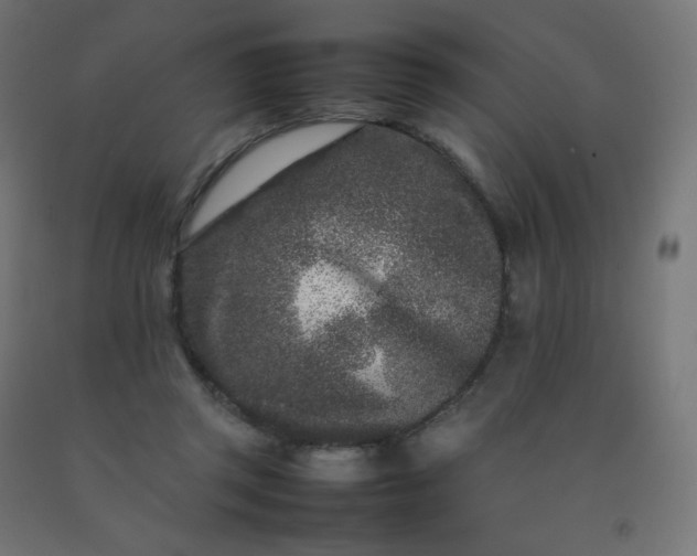 X0000092270357200709281229