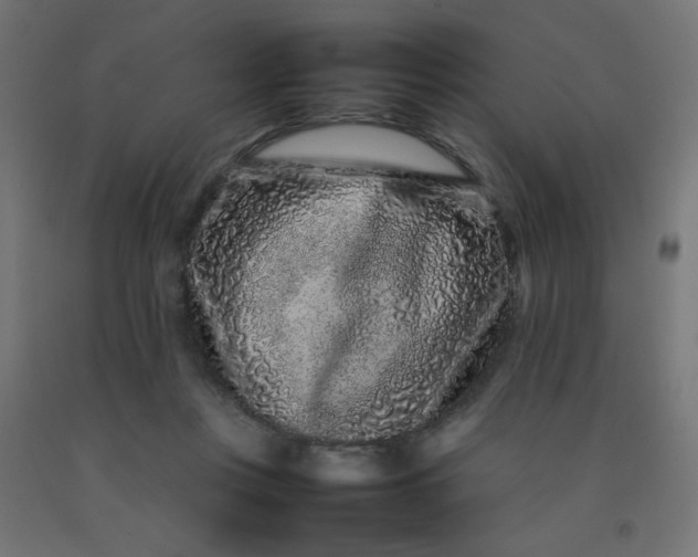 X0000092270359200709281229